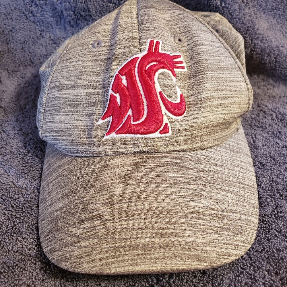 Hat Gray Adjustable Washington State Cougars Captivating Headwear